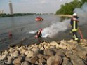 Kleine Yacht abgebrannt Koeln Hoehe Zoobruecke Rheinpark P134